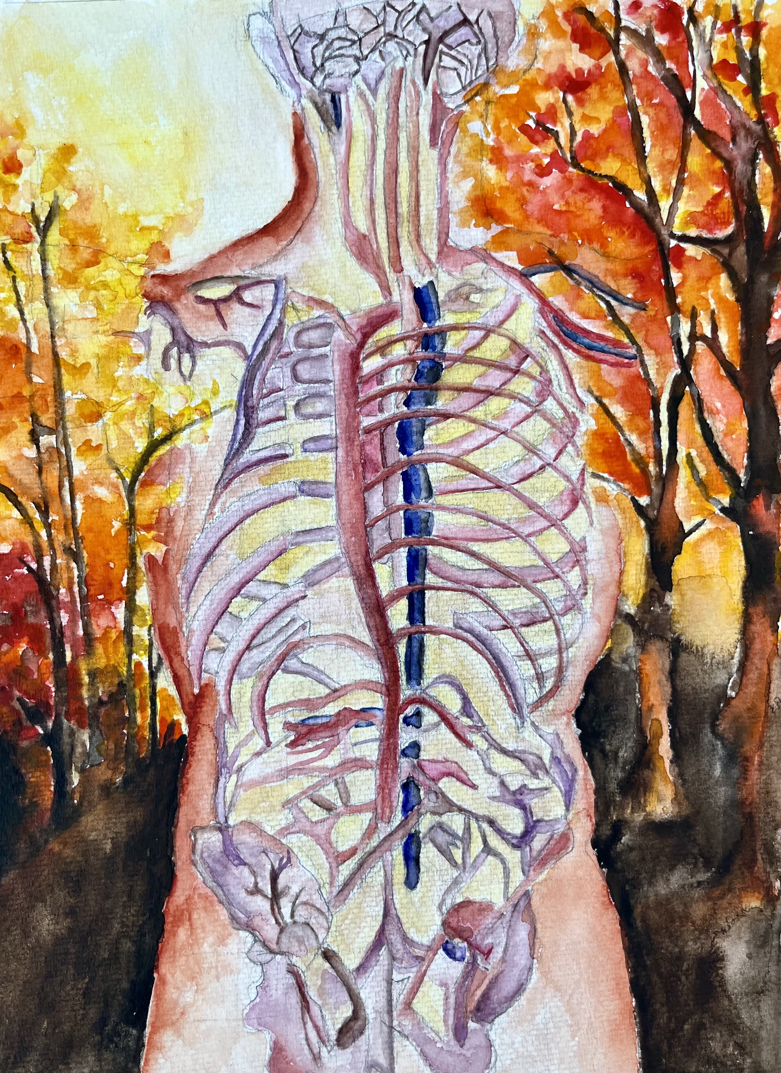 Anatomy of Autumn