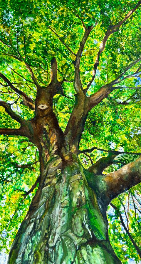 Painting looking up a broad tree trunk into a sunlit green canopy, with a pale knothole on one branch reading as an eye
